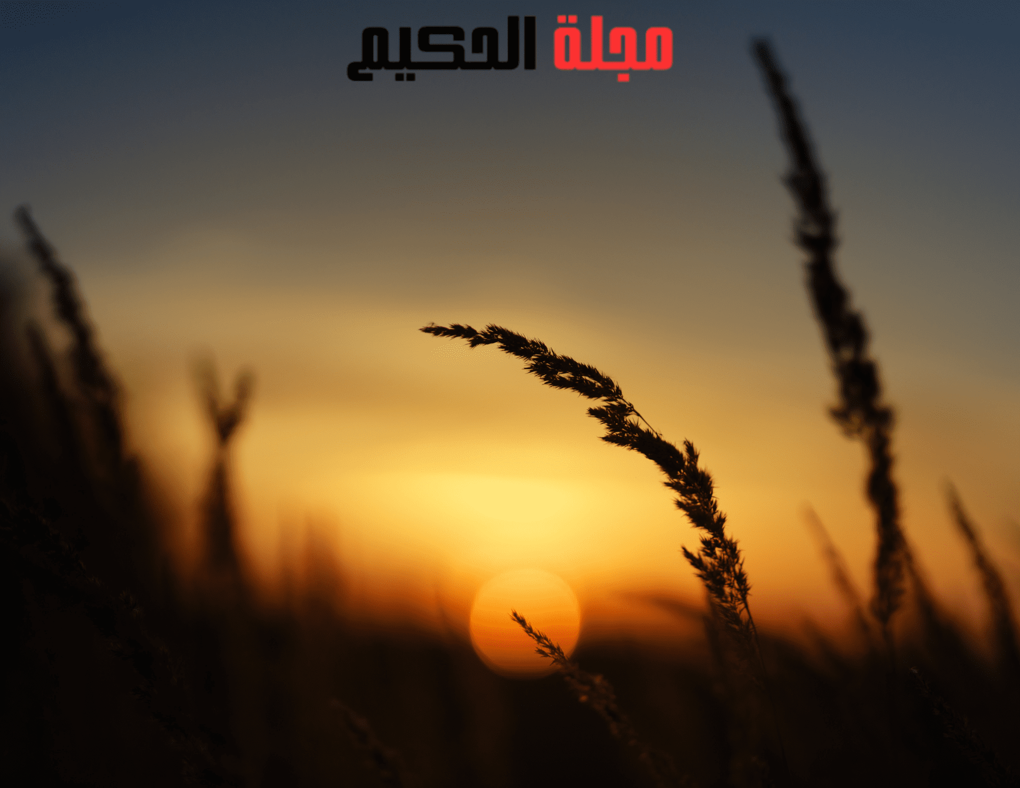 اتق-الله-ترى-عجبًا-